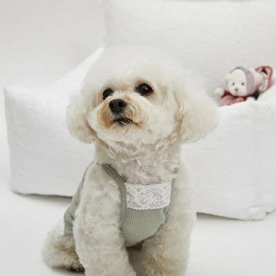 ルイスドッグ louisdog Olive Lace TANK【小型犬 ドッグウエア トップス タンクトップ ノースリーブ セレブ】