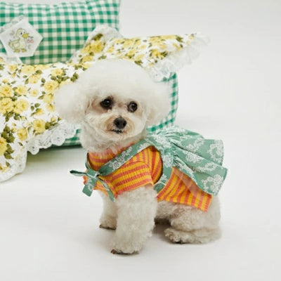 ルイスドッグ louisdog Garland Layered Dress TEE【小型犬 犬服 ドッグウエア トップス Tシャツ ワンピース スカート ドレス セット セレブ】