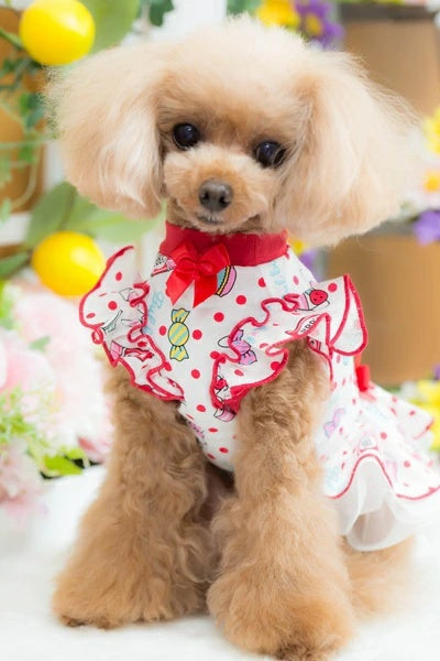ブルブブ BUL BU-BU COOLキューティーうさ子O/P【小型犬 犬服 ドッグウエア ウエア ワンピース ドレス スカート セレブ】