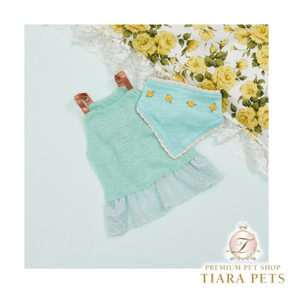ルイスドッグ louisdog Mint Breeze TEE & Scarf【小型犬 犬服 ドッグウエア トップス Tシャツ スカーフ セット セレブ】