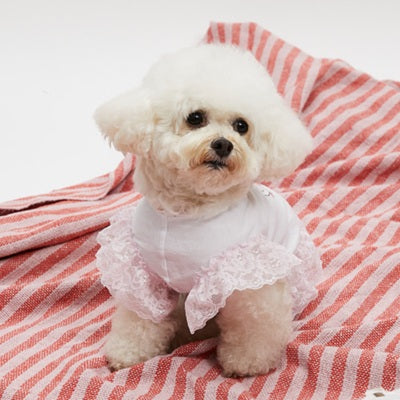 ルイスドッグ louisdog Fluffy Sketch TEE【小型犬 犬服 ドッグウエア トップス Tシャツ 半袖 セレブ】