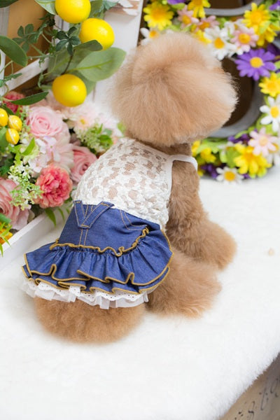 ブルブブ BUL BU-BU マルチデニム風ワンピース【小型犬 犬服 ドッグウエア ウエア ワンピース スカート ドレス セレブ】