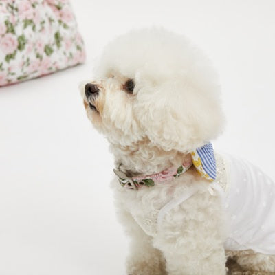 ルイスドッグ louisdog Bloom Club Collar【小型犬 犬用 お散歩 カラー 首輪 セレブ】