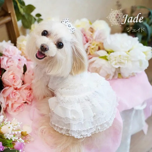 グラマーイズム Glamourism ジェイド（Jade）ホワイト【小型犬 犬服 ワンピース ドレス スカート セレブ】