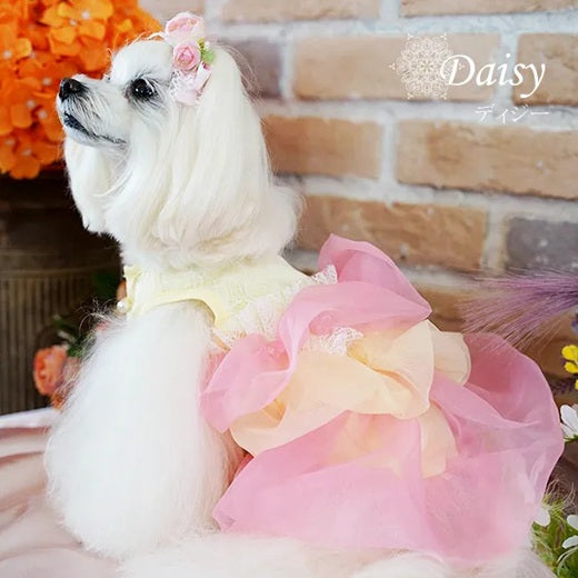 グラマーイズム Glamourism ディジー（Daisy）選べる2色【小型犬 犬服 ワンピース ドレス スカート セレブ】