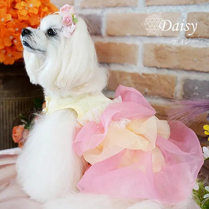 グラマーイズム Glamourism ディジー（Daisy）選べる2色【小型犬 犬服 ワンピース ドレス スカート セレブ】