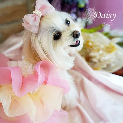 グラマーイズム Glamourism ディジー（Daisy）選べる2色【小型犬 犬服 ワンピース ドレス スカート セレブ】