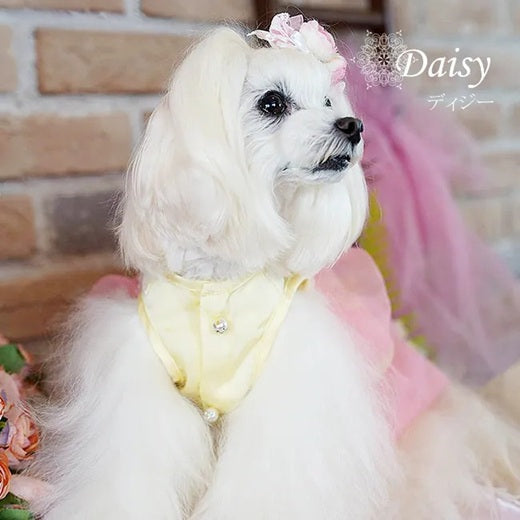 グラマーイズム Glamourism ディジー（Daisy）選べる2色【小型犬 犬服 ワンピース ドレス スカート セレブ】