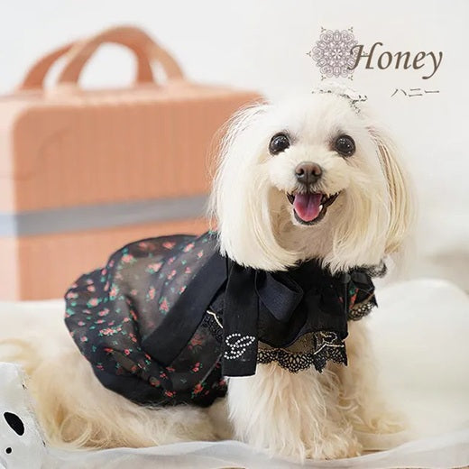 グラマーイズム Glamourism ハニー（Honey）選べる2色【小型犬 犬服 ワンピース ドレス スカート セレブ】