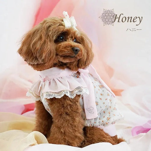 グラマーイズム Glamourism ハニー（Honey）選べる2色【小型犬 犬服 ワンピース ドレス スカート セレブ】