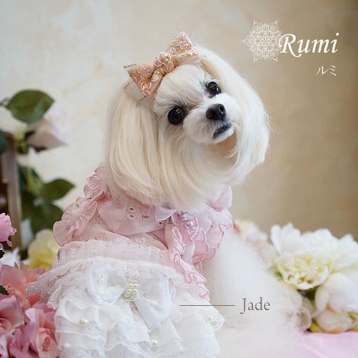 グラマーイズム Glamourism ルミ（Rumi）選べる2色【小型犬 犬服 ドッグウエア トップス セレブ】