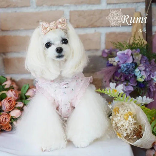 グラマーイズム Glamourism ルミ（Rumi）選べる2色【小型犬 犬服 ドッグウエア トップス セレブ】