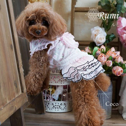 グラマーイズム Glamourism ルミ（Rumi）選べる2色【小型犬 犬服 ドッグウエア トップス セレブ】