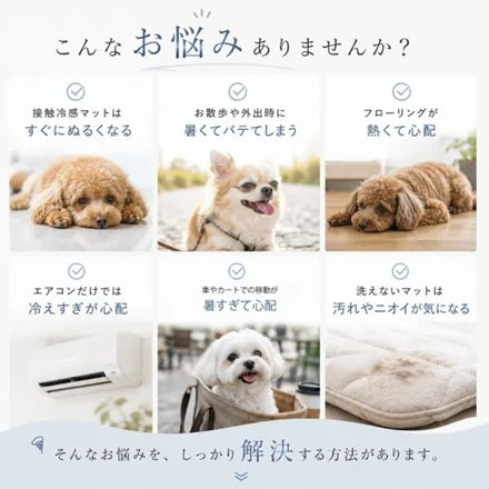 バーディ BIRDIE ラッセルクッションクールマット【小型犬 犬用 クールマット マット クッションマット】