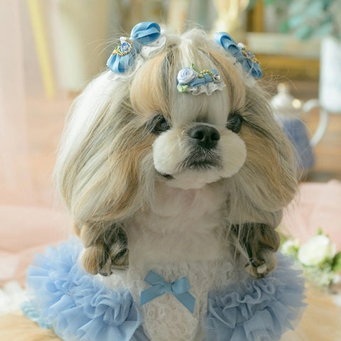 きゃんナナ CanNana アリスのローズコームパッチン ブルー AC-050【小型犬 犬用 ヘアアクセサリー ヘアアクセ パッチン留め】