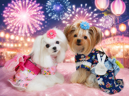 サーカスサーカス circus circus Toy Bunny YUKATA(CCW-0300)【小型犬 犬服 ドッグウエア 浴衣 お祭り 和装】