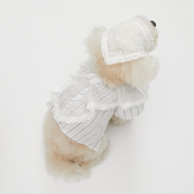 ルイスドッグ louisdog Mellow Lae Scarf【小型犬 犬用 アクセサリー スカーフ セレブ】