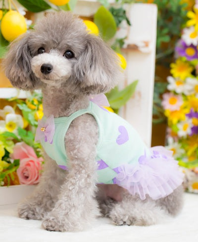 ブルブブ BUL BU-BU Sweet sherbet Camisole【小型犬 犬服 ドッグウエア トップス キャミソール ノースリーブ セレブ】