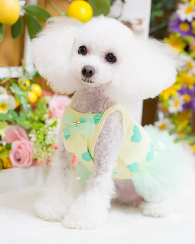 ブルブブ BUL BU-BU Sweet sherbet Camisole【小型犬 犬服 ドッグウエア トップス キャミソール ノースリーブ セレブ】