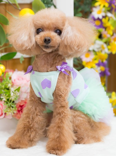 ブルブブ BUL BU-BU Sweet sherbet O/P【小型犬 犬服 ドッグウエア ワンピース スカート ドレス セレブ】
