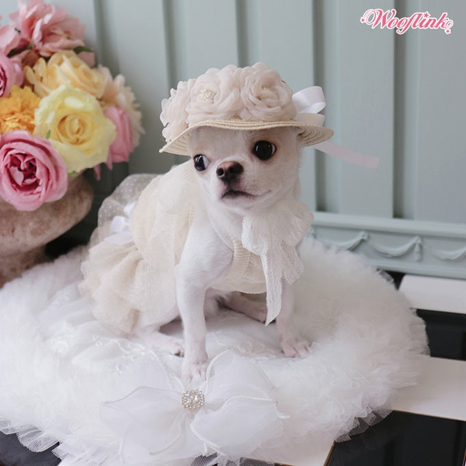 ブルブブ BUL BU-BU SUNNY DAYS TOP【小型犬 犬服 トップス ノースリーブ セレブ】