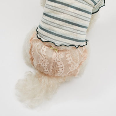 ルイスドッグ louisdog Apricot Lace Brief【小型犬 犬服 ボトムス ズボン つなぎ ロンパース セレブ】