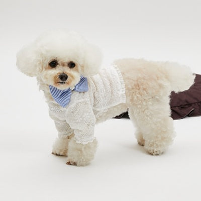 ルイスドッグ louisdog Mellow Lace TEE【小型犬 犬服 トップス 半袖 Tシャツ セレブ】