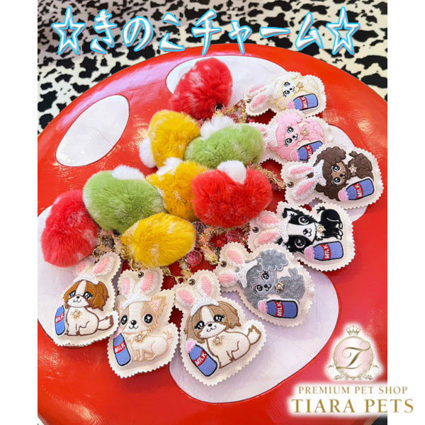 TIARA PETS