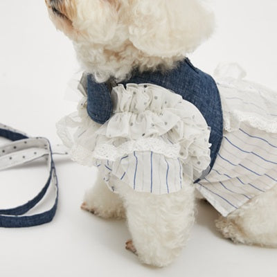 ルイスドッグ louisdog Walk With Me/Denim Dot【小型犬 犬用 ハーネス セット 一体型 お散歩 セレブ】
