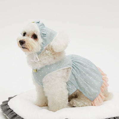 ルイスドッグ louisdog Willow Dress & Scarf【小型犬 犬服 ワンピース スカート ドレス スカーフ セット セレブ】