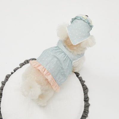 ルイスドッグ louisdog Willow Dress & Scarf【小型犬 犬服 ワンピース スカート ドレス スカーフ セット セレブ】