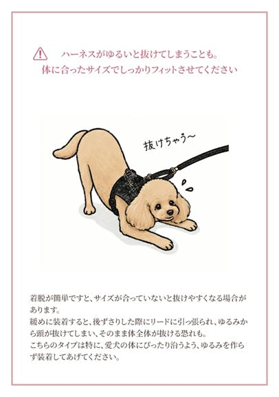 クレイジーブー CRAZYBOO ツイード肩フリルハーネス ☆9月下旬順次発送予約☆【犬服 犬用 ハーネス 小型犬用 お散歩 トイプードル チワワ ダックス セレブ】