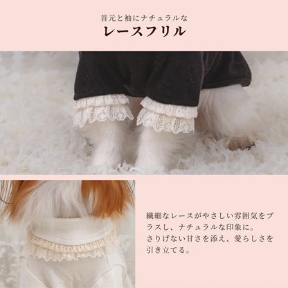 クレイジーブー CRAZYBOO ストレッチレーストレーナー ☆9月下旬順次発送予約☆【ドッグウエア 犬服 小型犬 トップス トレーナー スウェット トイプードル チワワ ダックス セレブ】