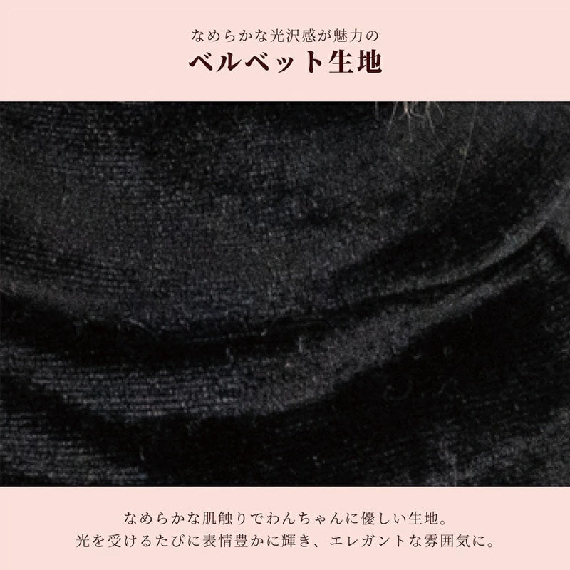 クレイジーブー CRAZYBOO ハロウィンワンピ ☆9月上旬順次発送予約☆【ドッグウエア 犬服 ワンピース スカート ドレス トイプードル チワワ ダックス セレブ】