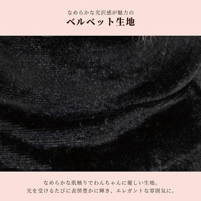 クレイジーブー CRAZYBOO ハロウィンワンピ ☆9月上旬順次発送予約☆【ドッグウエア 犬服 ワンピース スカート ドレス トイプードル チワワ ダックス セレブ】
