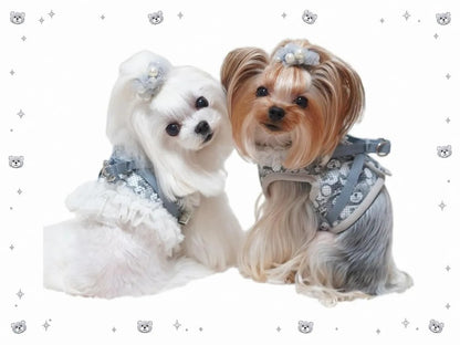 サーカスサーカス circus circus 【先行予約】Toy Bear Dressed Harness SET - Monotone - (CCZ-0077)【小型犬 犬用 ハーネス セット お散歩】