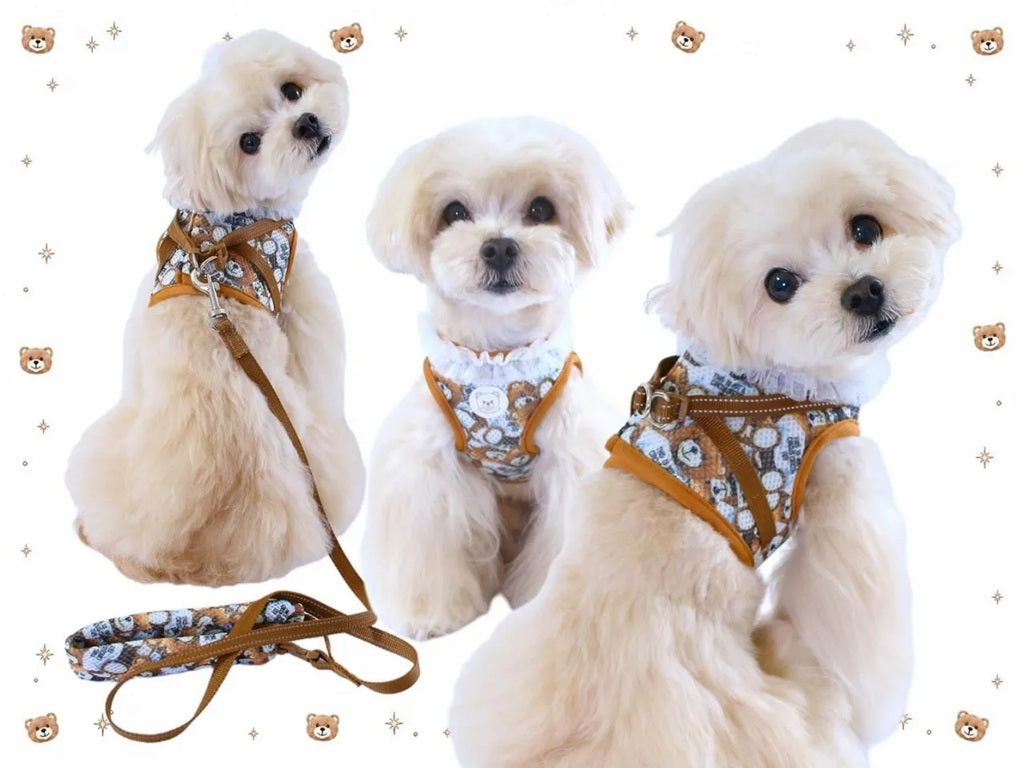サーカスサーカス circus circus【先行予約】Toy Bear Dressed Harness SET - Brown - (CCZ-0076)【小型犬 犬用 ハーネス セット お散歩】