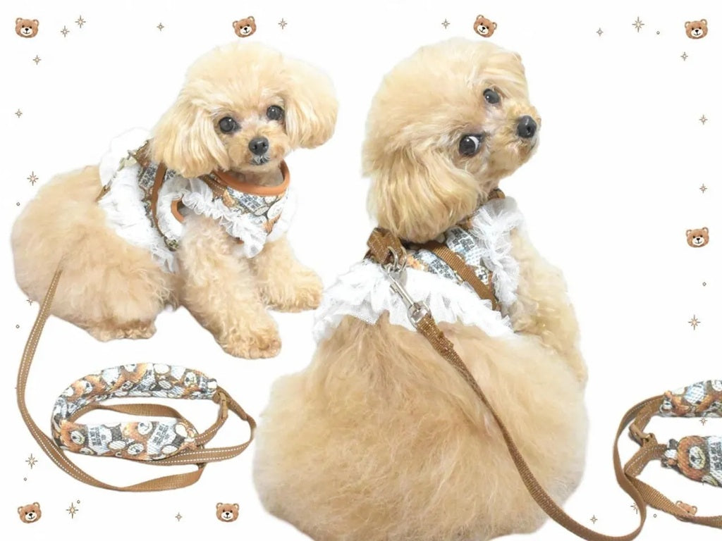 サーカスサーカス circus circus【先行予約】Toy Bear Dressed Harness SET - Brown - (CCZ-0076)【小型犬 犬用 ハーネス セット お散歩】