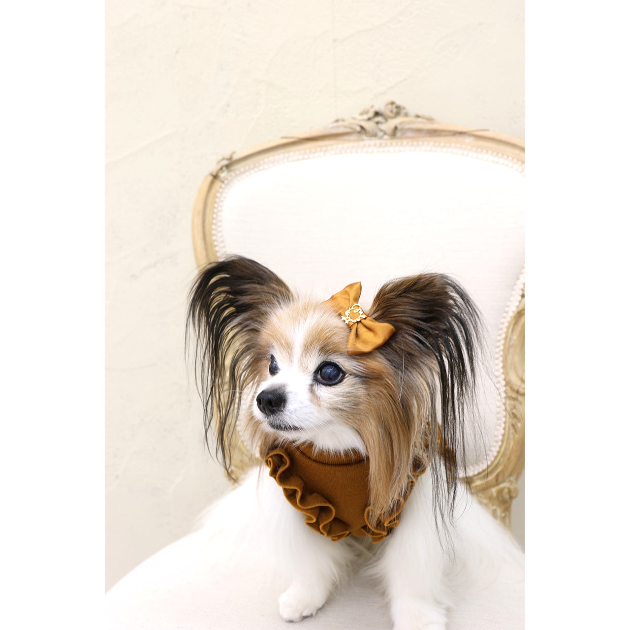 ミムット mimtto Satin Barrette☆予約品☆【小型犬 犬用 ヘアアクセサリー バレッタ リボン セレブ】