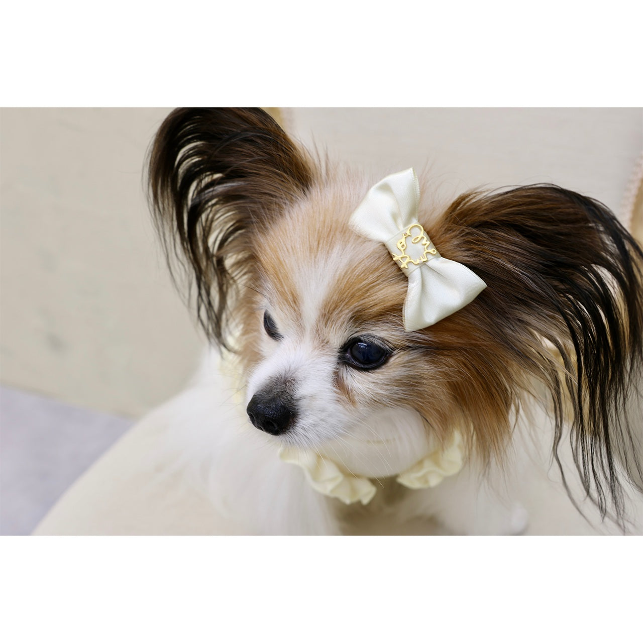 ミムット mimtto Satin Barrette☆予約品☆【小型犬 犬用 ヘアアクセサリー バレッタ リボン セレブ】
