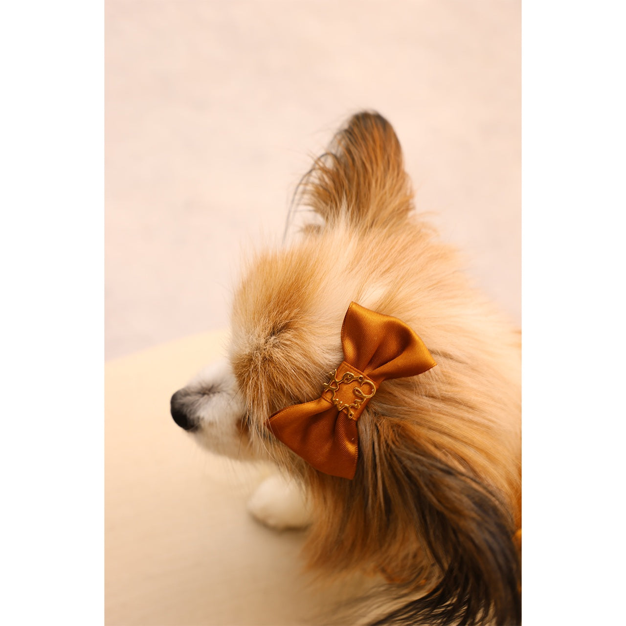 ミムット mimtto Satin Barrette☆予約品☆【小型犬 犬用 ヘアアクセサリー バレッタ リボン セレブ】