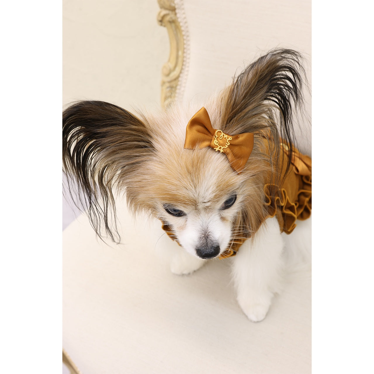 ミムット mimtto Satin Barrette☆予約品☆【小型犬 犬用 ヘアアクセサリー バレッタ リボン セレブ】