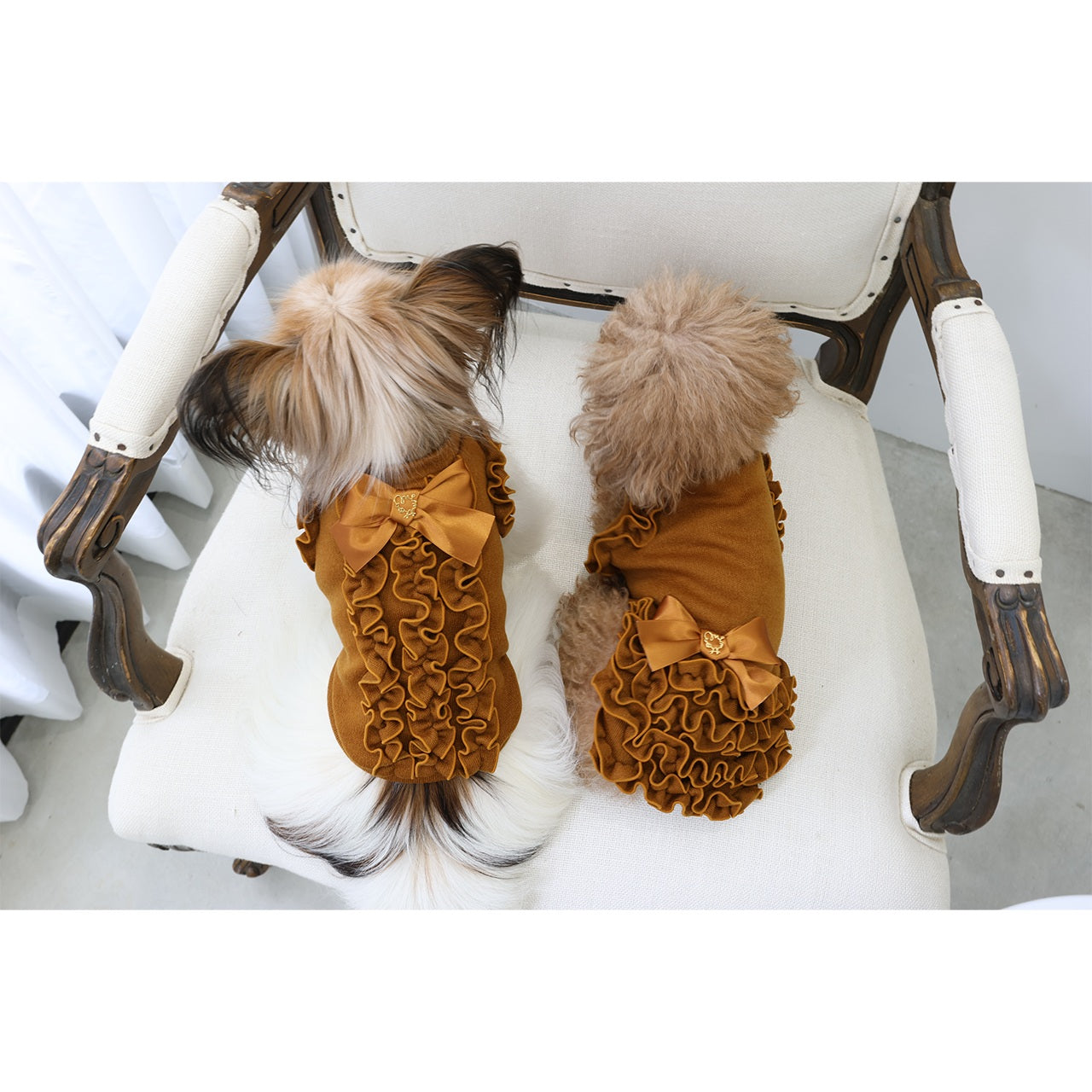ミムット mimtto Julien ☆予約品☆【小型犬 犬服 トップス セレブ】