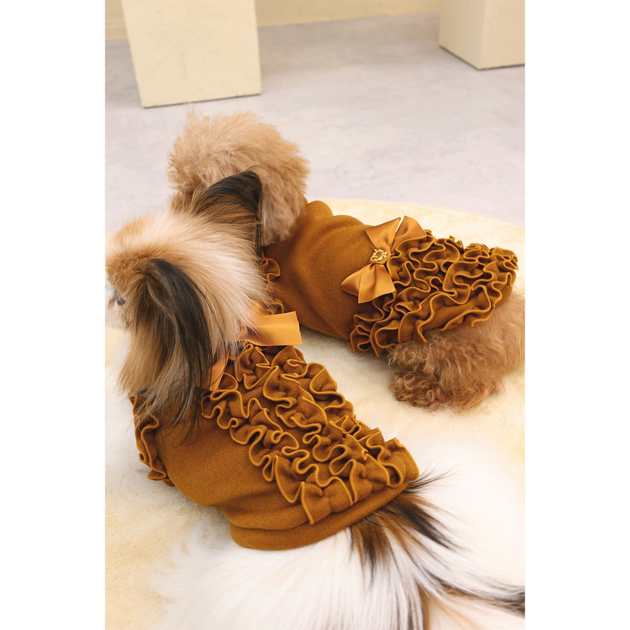 ミムット mimtto Julien ☆予約品☆【小型犬 犬服 トップス セレブ】