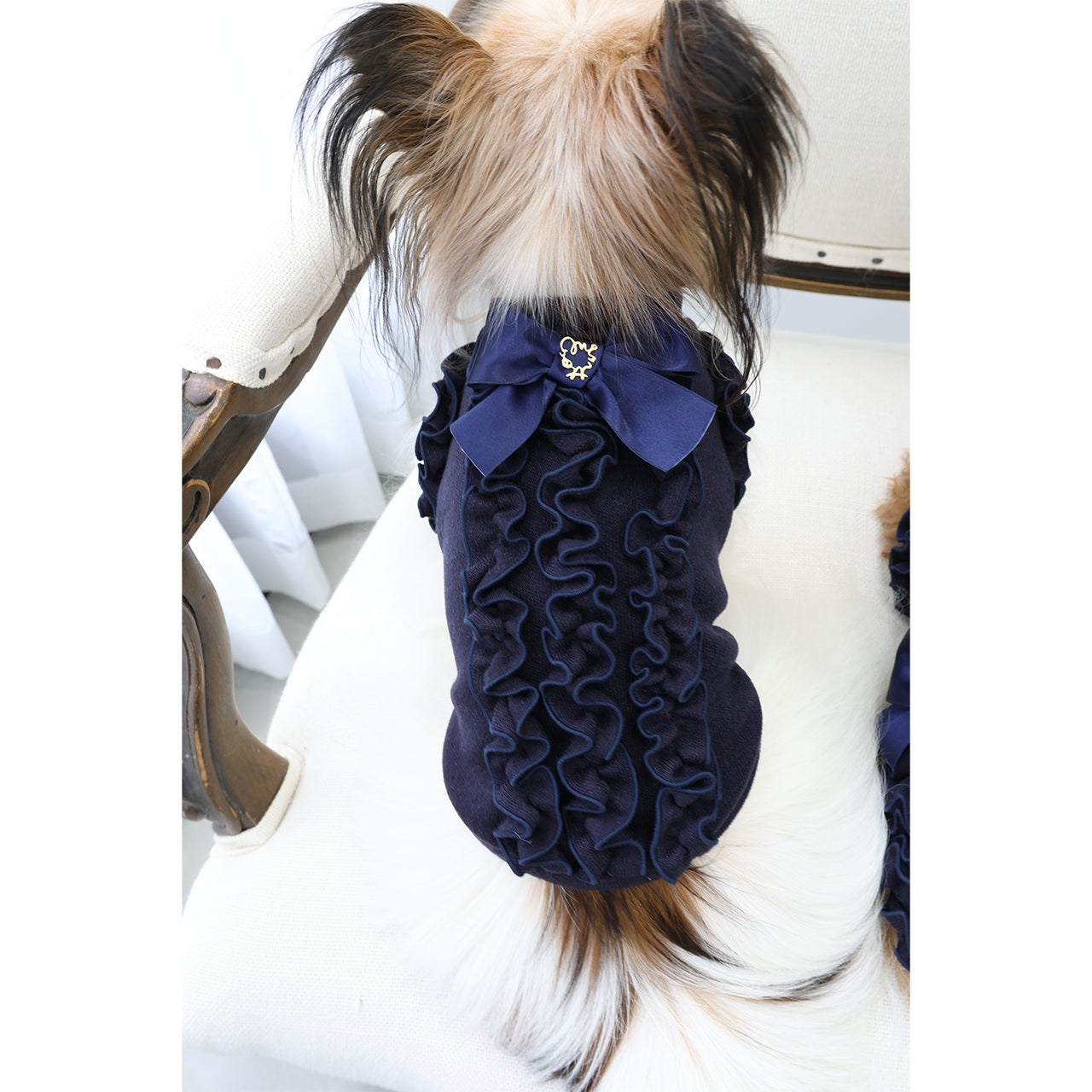 ミムット mimtto Julien ☆予約品☆【小型犬 犬服 トップス セレブ】