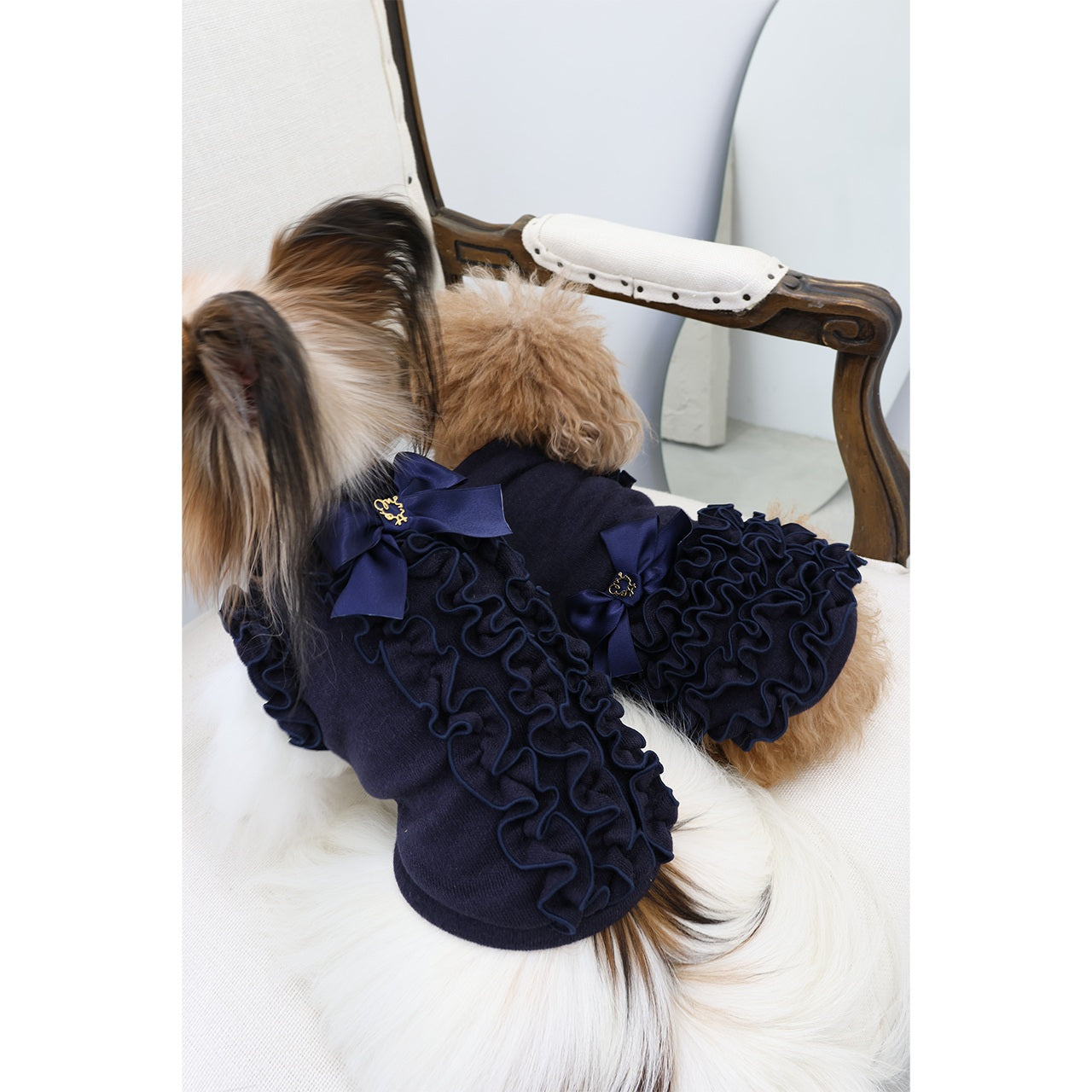 ミムット mimtto Julien ☆予約品☆【小型犬 犬服 トップス セレブ】