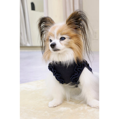 ミムット mimtto Julien ☆予約品☆【小型犬 犬服 トップス セレブ】