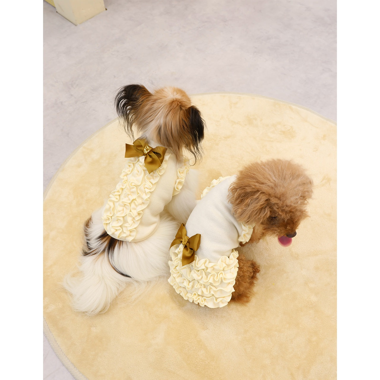 ミムット mimtto Julien ☆予約品☆【小型犬 犬服 トップス セレブ】