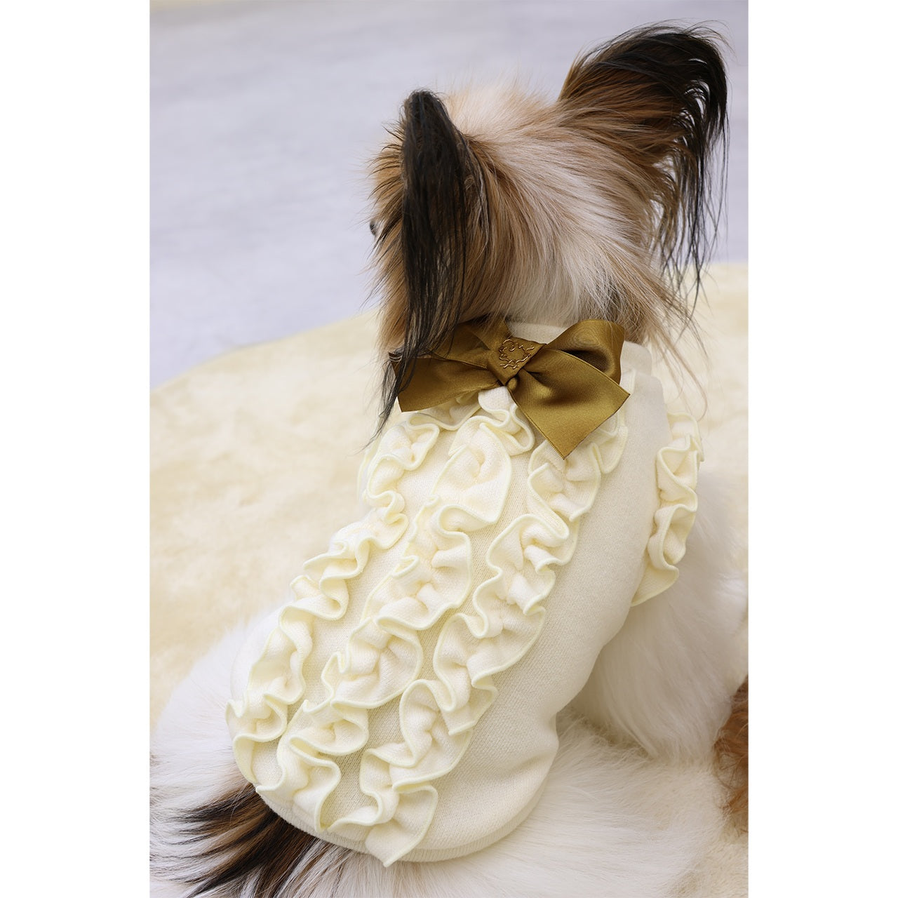ミムット mimtto Julien ☆予約品☆【小型犬 犬服 トップス セレブ】