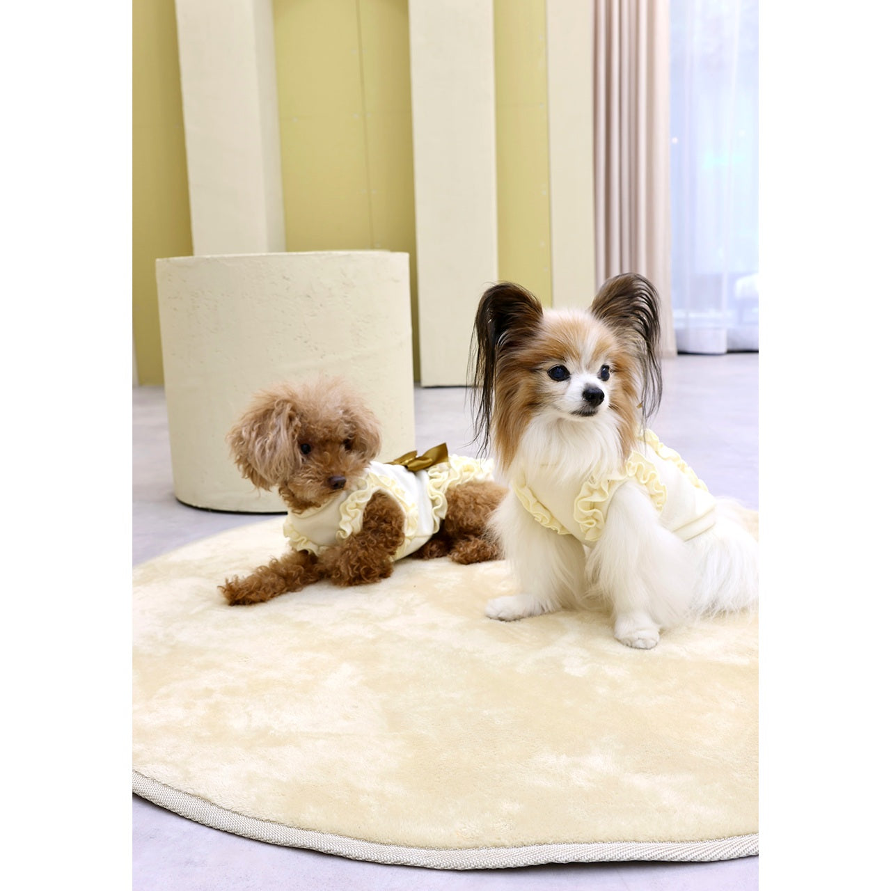 ミムット mimtto Julien ☆予約品☆【小型犬 犬服 トップス セレブ】